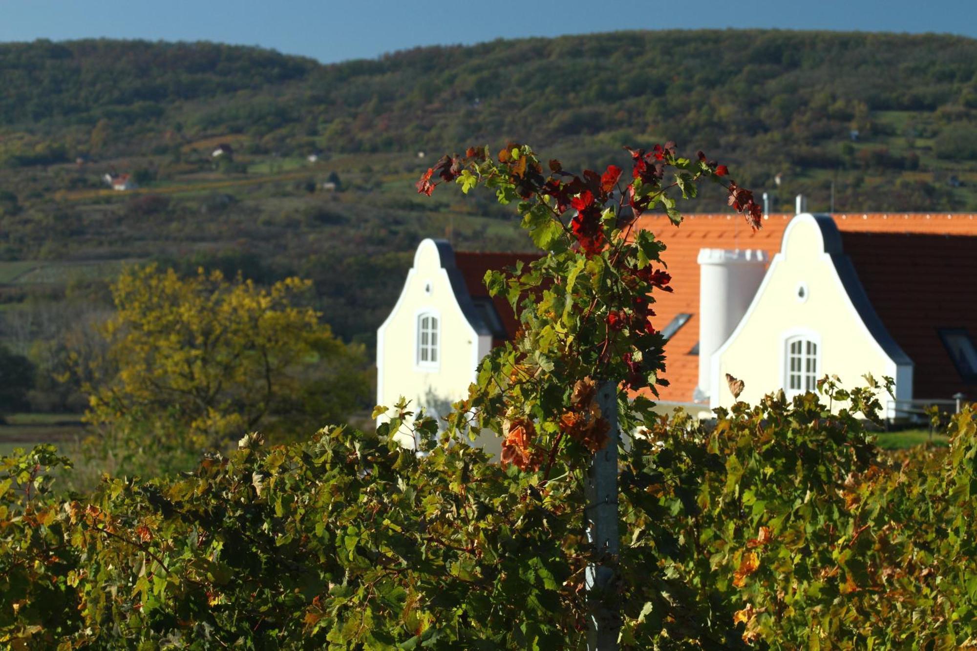 Liszkay Borkuria Hotel Monoszlo Buitenkant foto